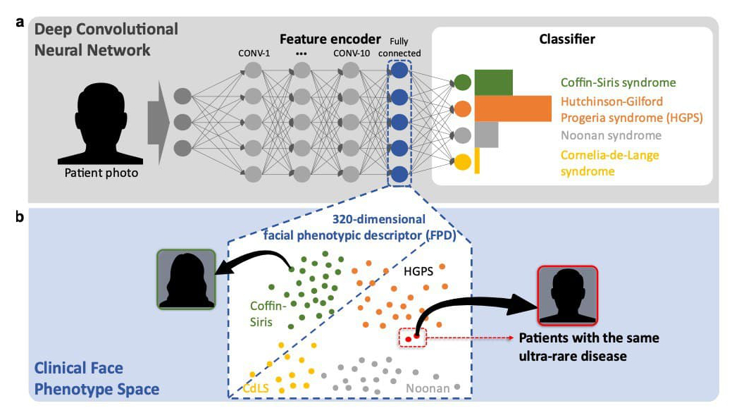 Gestaltmatcher architecture